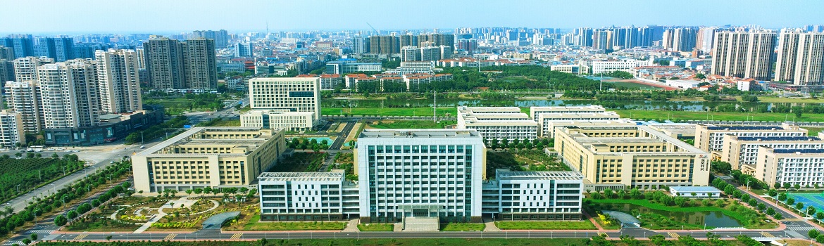 开云手机官方网站入口